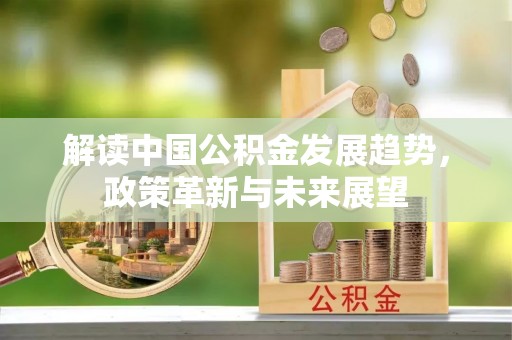 周口解读中国公积金发展趋势，政策革新与未来展望