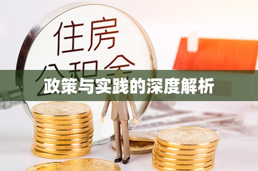 周口政策与实践的深度解析