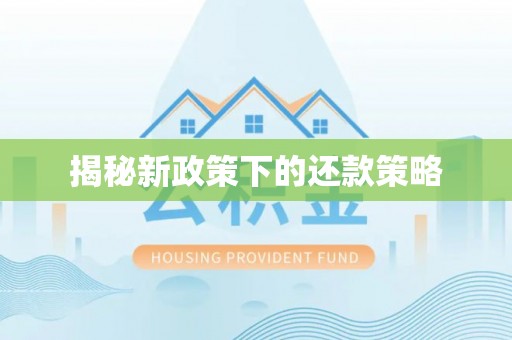 周口揭秘新政策下的还款策略