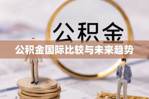 周口公积金国际比较与未来趋势
