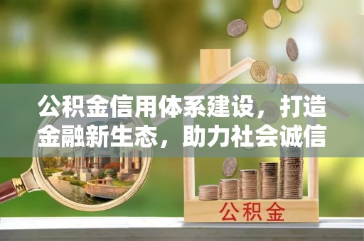 周口公积金信用体系建设，打造金融新生态，助力社会诚信发展