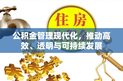 周口公积金管理现代化，推动高效、透明与可持续发展