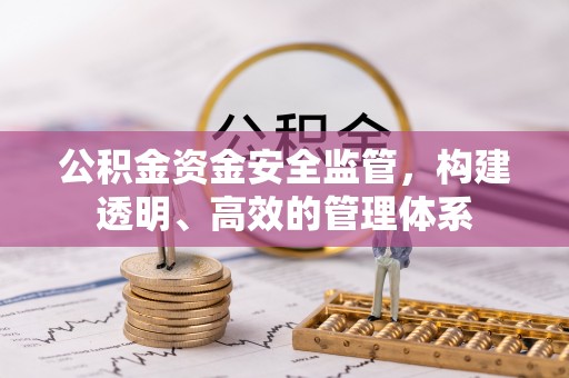 周口公积金资金安全监管，构建透明、高效的管理体系