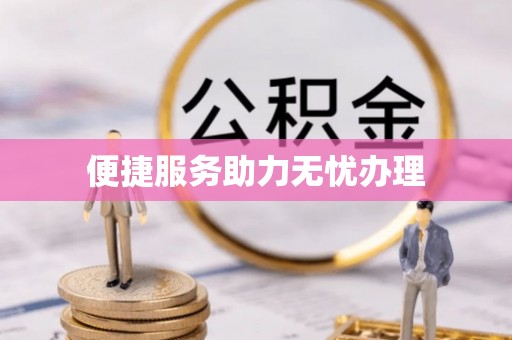 周口便捷服务助力无忧办理