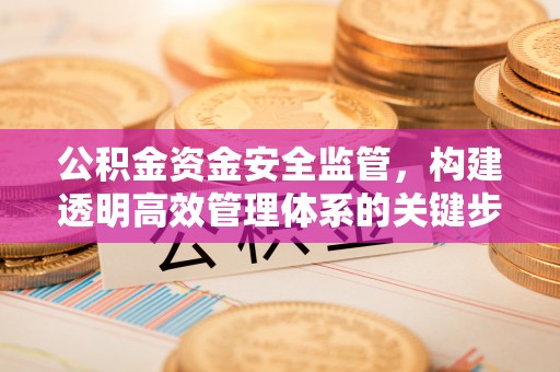 周口公积金资金安全监管，构建透明高效管理体系的关键步骤