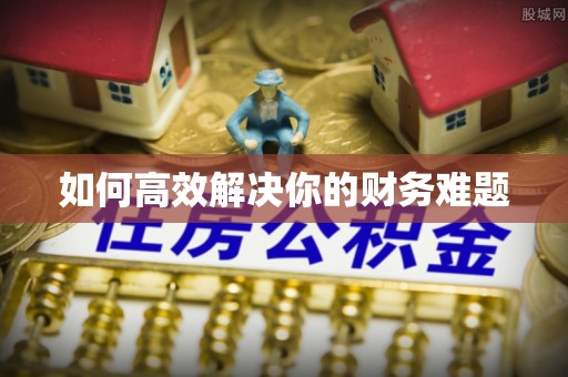 周口如何高效解决你的财务难题