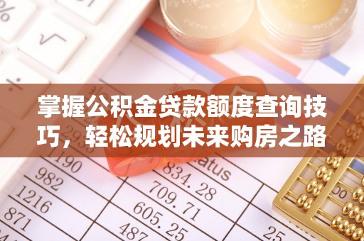 周口掌握公积金贷款额度查询技巧，轻松规划未来购房之路