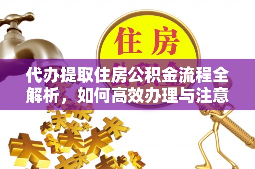 周口代办提取住房公积金流程全解析，如何高效办理与注意事项