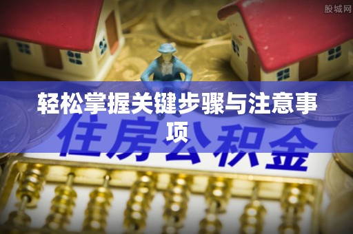 周口轻松掌握关键步骤与注意事项