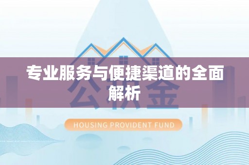 周口专业服务与便捷渠道的全面解析
