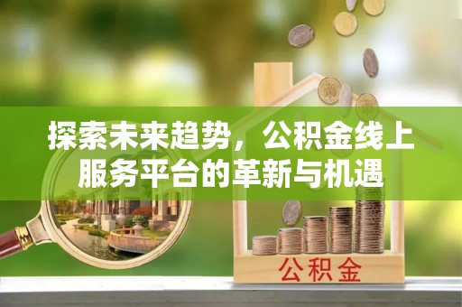 周口探索未来趋势，公积金线上服务平台的革新与机遇