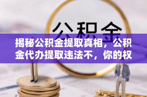 周口揭秘公积金提取真相，公积金代办提取违法不，你的权益如何保障？