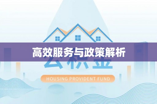 周口高效服务与政策解析