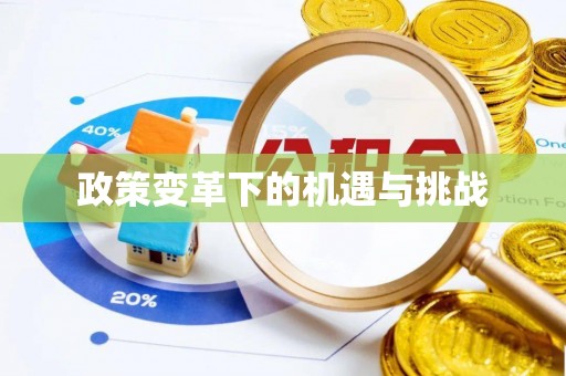 周口政策变革下的机遇与挑战