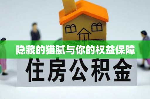 周口隐藏的猫腻与你的权益保障