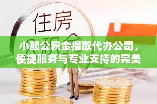 周口小额公积金提取代办公司，便捷服务与专业支持的完美结合