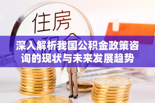 周口深入解析我国公积金政策咨询的现状与未来发展趋势