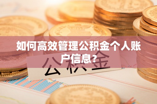 周口如何高效管理公积金个人账户信息？