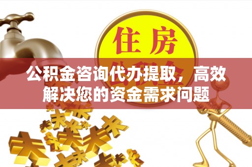 周口公积金咨询代办提取，高效解决您的资金需求问题
