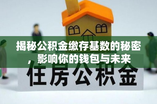 周口揭秘公积金缴存基数的秘密，影响你的钱包与未来