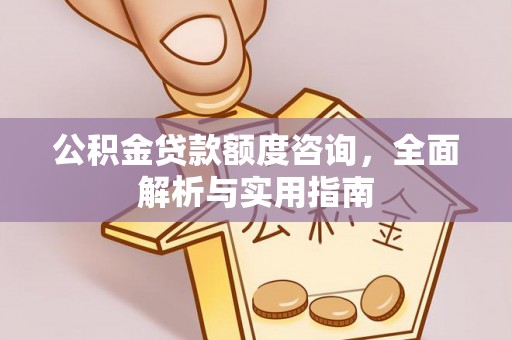 周口公积金贷款额度咨询，全面解析与实用指南