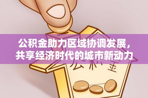 周口公积金助力区域协调发展，共享经济时代的城市新动力