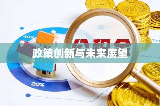 周口政策创新与未来展望